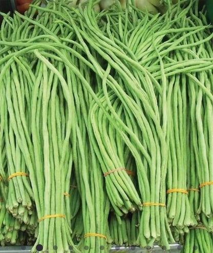 Super-Long Green Bean Seeds (Pack of 1)
